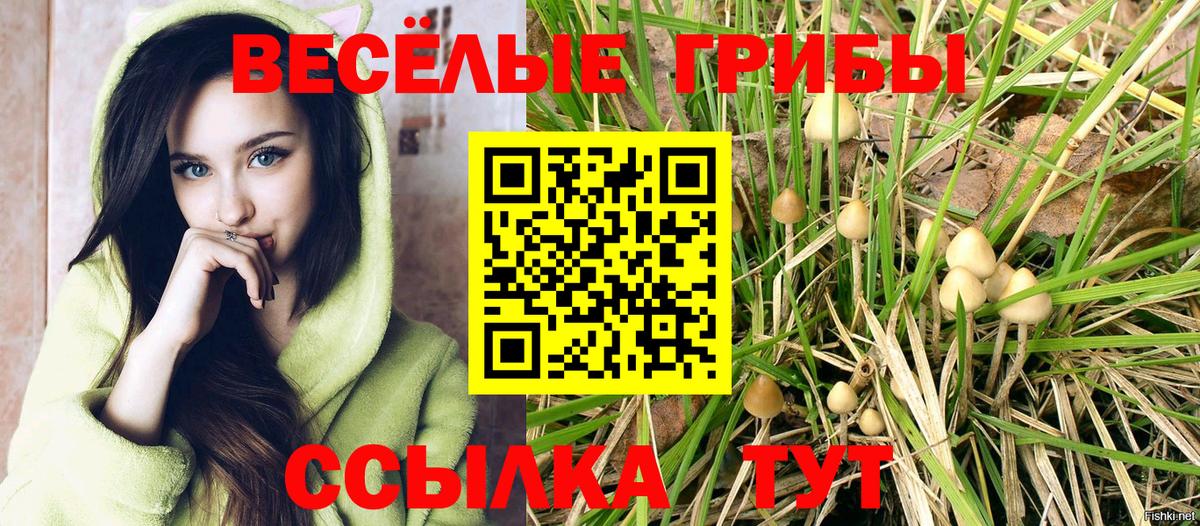 Коряжма  Псилоцибиновые грибы ЛСД  Галлюциногенные грибы ЛСД  Вход с VPN 